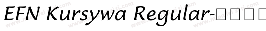 EFN Kursywa Regular字体转换